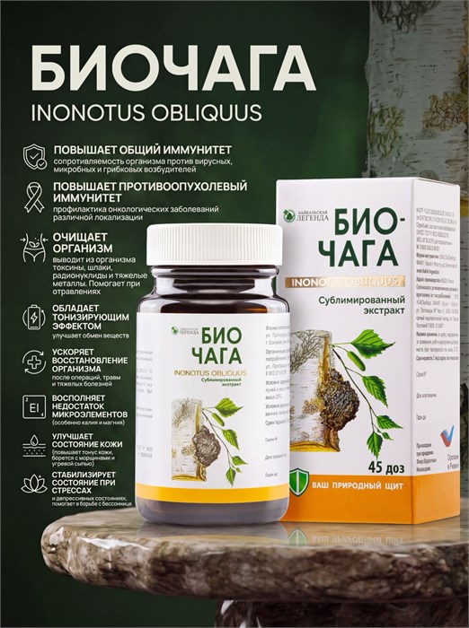 БИОЧАГА (Inonotus Obliquus) – сублимированный экстракт гриба чаги 6 г (БАД) 1713