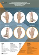 Комплект 3шт. Бумажных плакатов А3 "Руки,ноги,языки"
