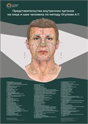 Комплект плакатов 3 шт 