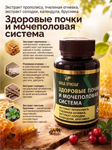 {{photo.Alt || photo.Description || 'Экстракт прополиса с Брусникой 60 шт'}}