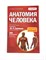 Атлас анатомии и физиологии человека, книга - фото 4748