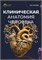 Книга "Клиническая анатомия человека" 2132 - фото 5806